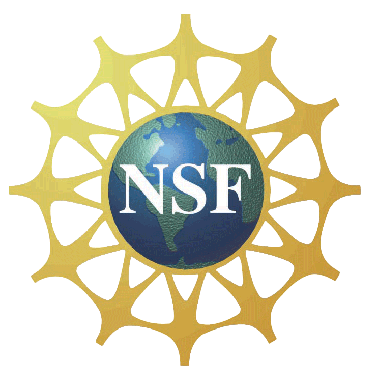 NSF Logo